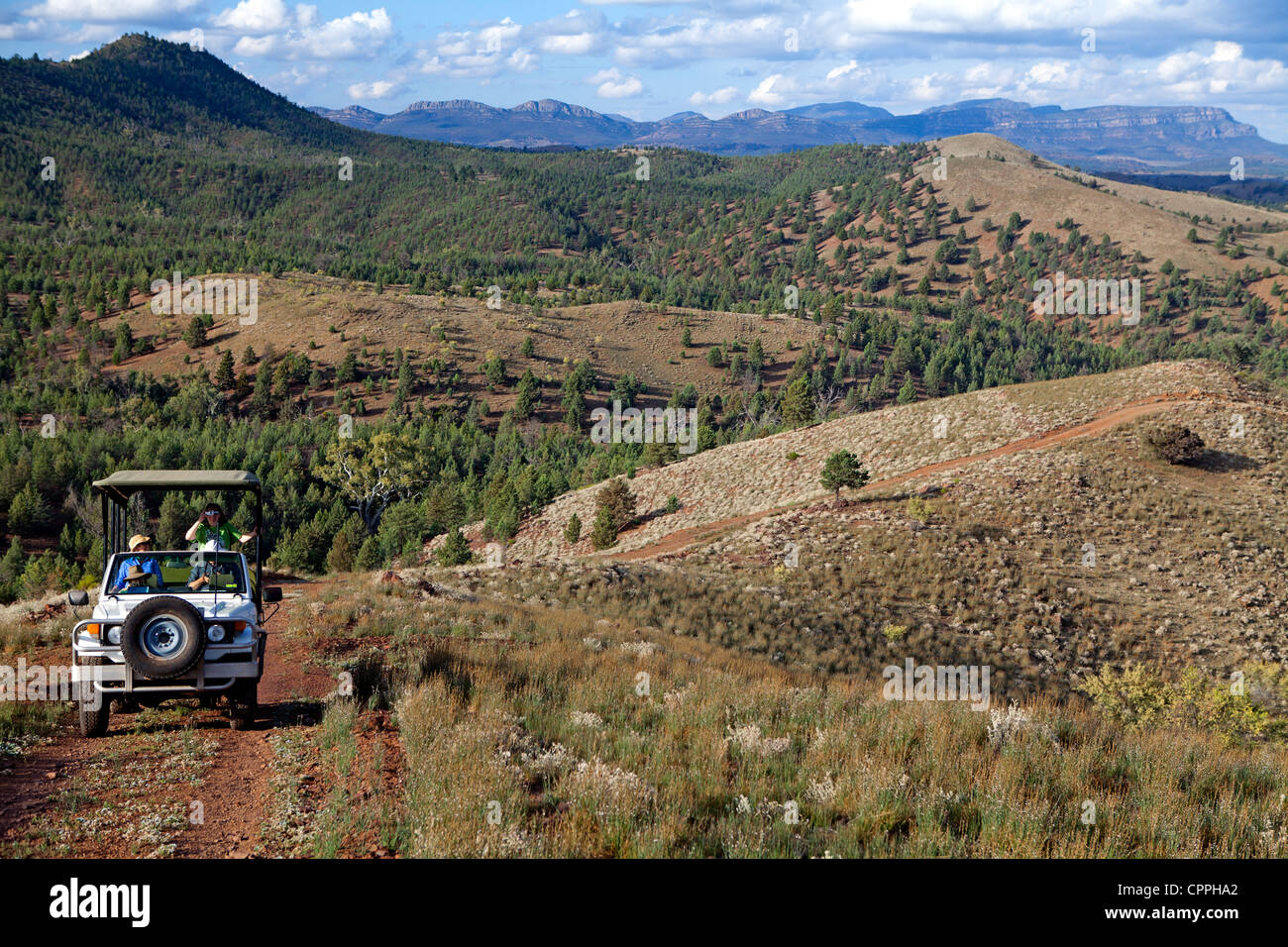 Gäste in einem Fahrzeug auf der Arkaba Station in South Australia Flinders Ranges, mit Wilpena Pound hinter Stockfoto