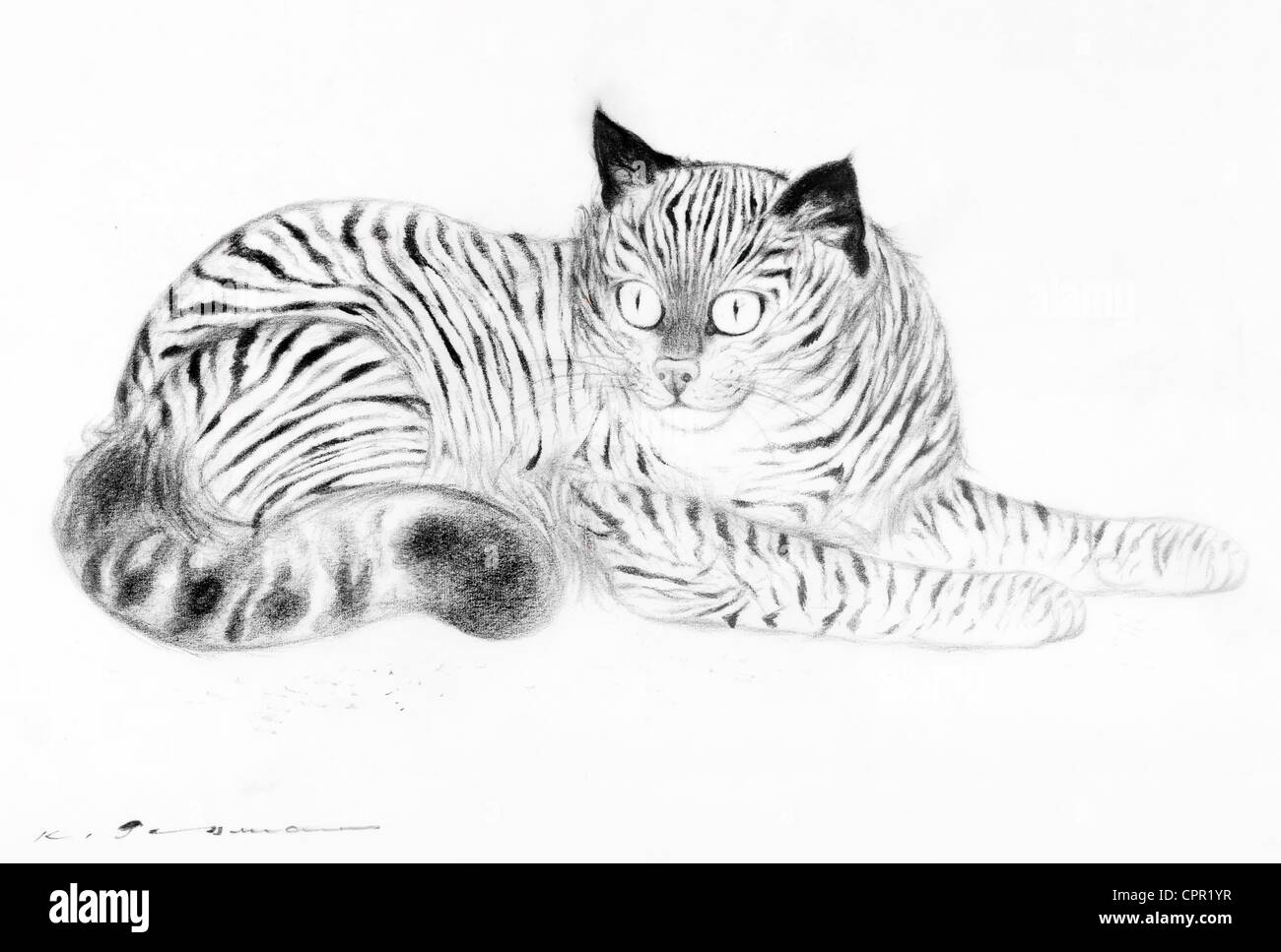 Gemeinsamen Makrele Tabby Katze - Kohle auf Papier von Kurt Tessmann Stockfoto