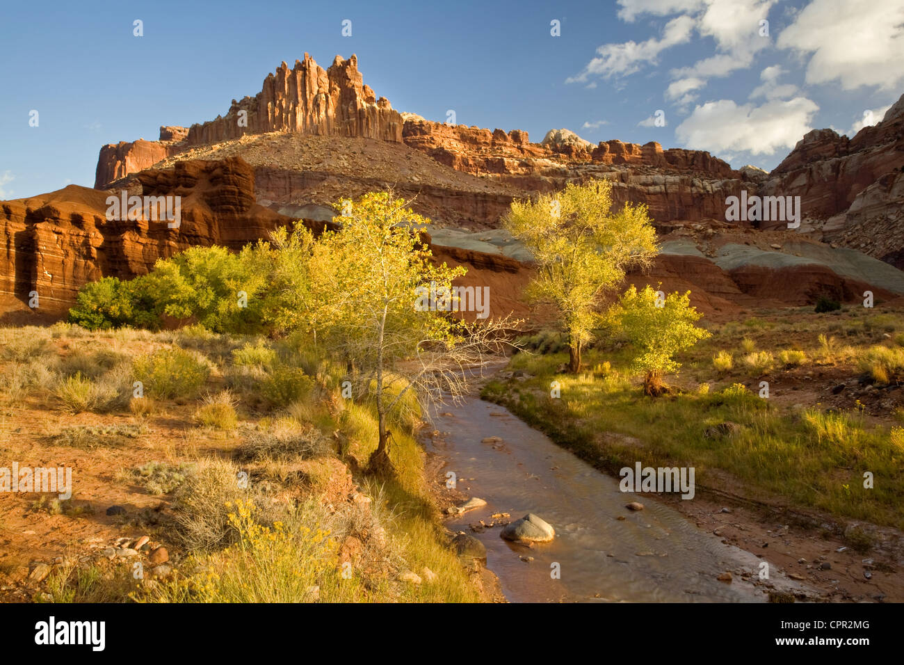 Das Schloss und Sulphur Creek im Herbst bei Capital Reef Nationalpark, UT Stockfoto