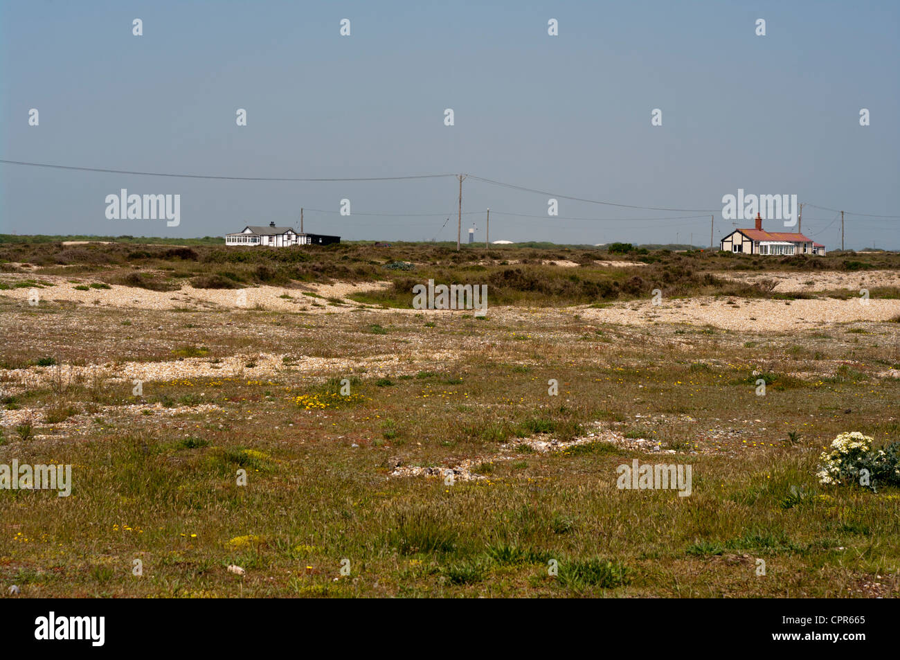 Blick über Dungeness Wildlife Natur Reserve Kent UK Stockfoto
