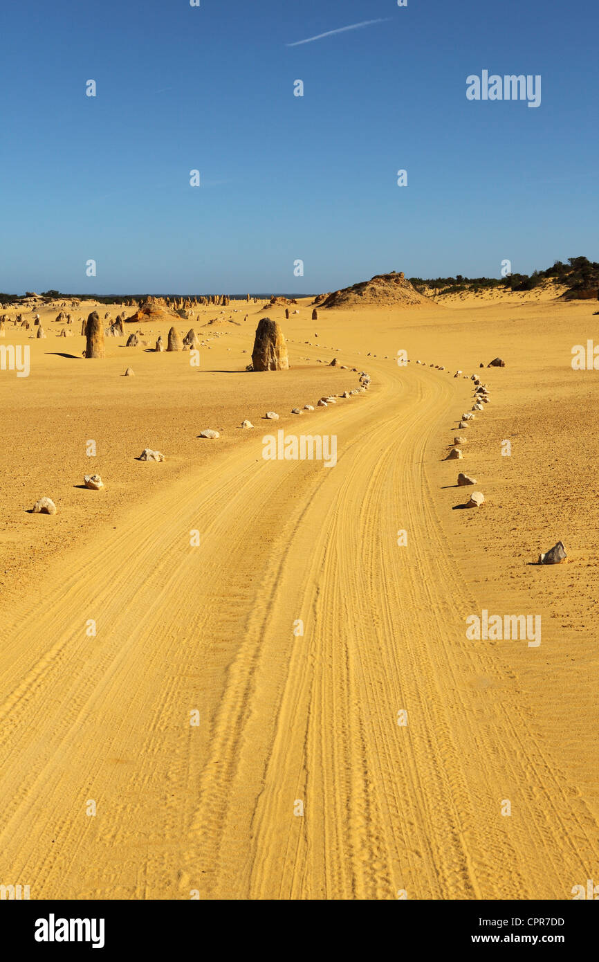 Straße durch die Pinnacles Desert, Westaustralien. Stockfoto