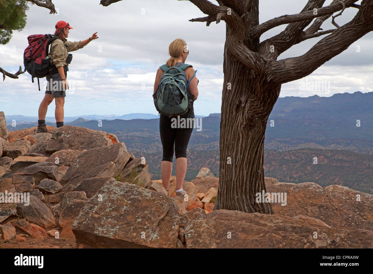 Wanderern am Zaum Gap (Wilpena Pound) in South Australia Flinders Ranges, mit Blick auf den ältesten Bereich Stockfoto