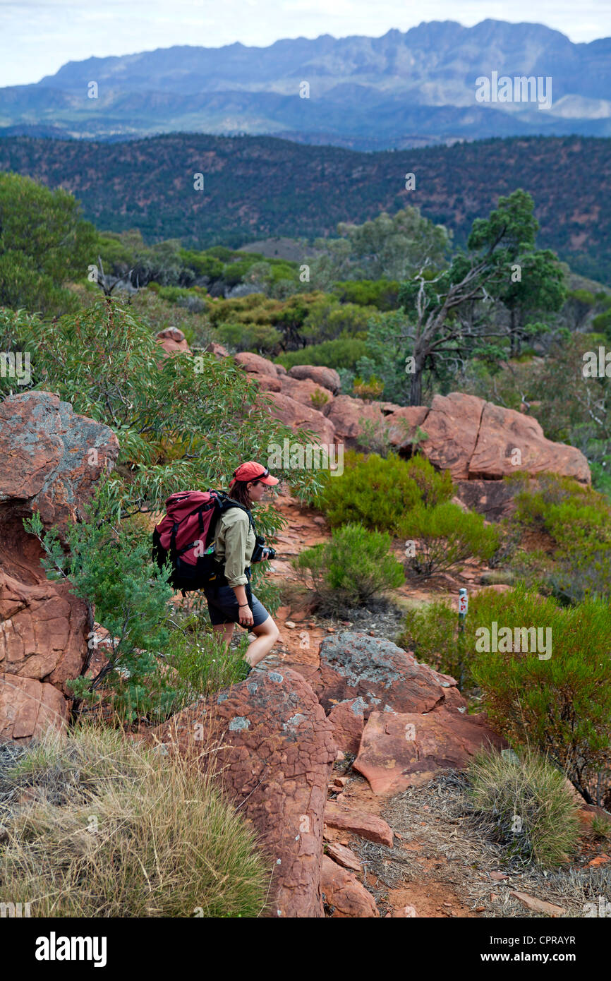 Buschwanderer Abstieg auf dem Heysen Trail vom Zaum Lücke am Wilpena Pound in South Australia Flinders Ranges Stockfoto