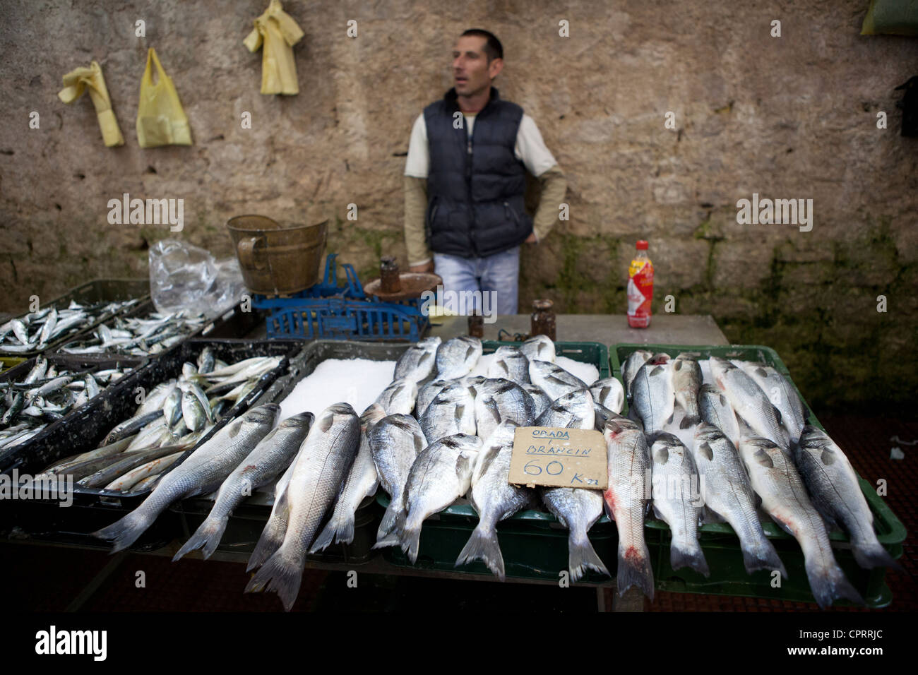 Fischmarkt Zadar Kroatien Stockfoto