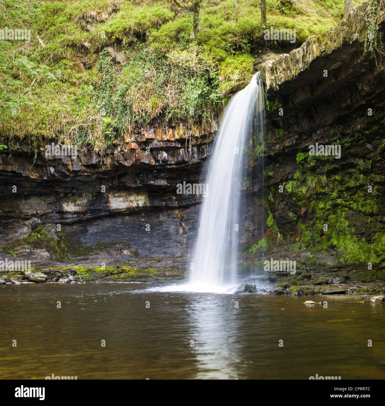 Sgwd Gwladus Wasserfall in der Nähe von Pontneddfechan in Süd-Wales Stockfoto