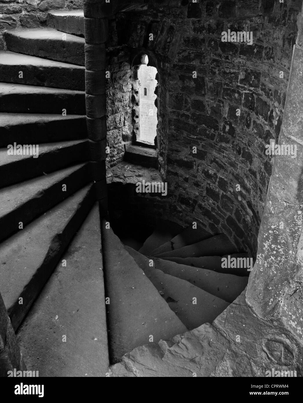 Stein-Treppe im Raglan Castle Monmouthshire Stockfoto