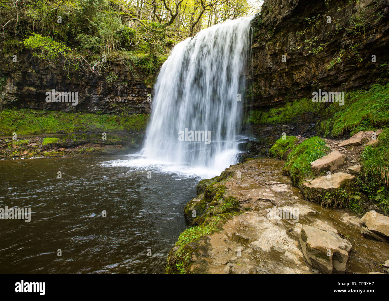 Sgwd Yr Eira Wasserfall Brecon Beacons Nationalpark Wales Stockfoto