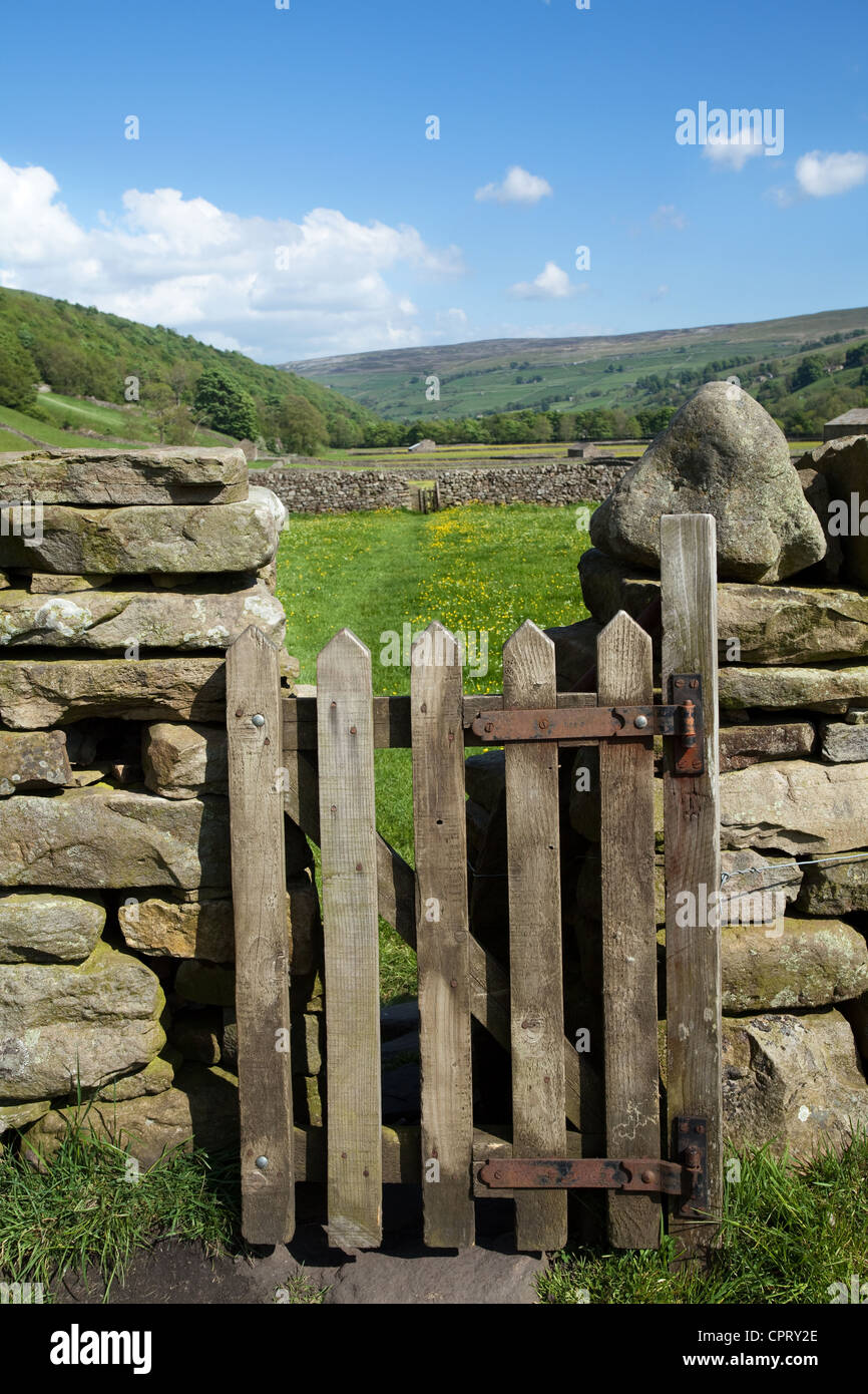 Holztor, Trockenmauern, öffentliches Wegerecht für Wanderer und Wanderer auf Ackerland, North Yorkshire Dales Meadows, Gunnerside Yorkshire Dales, Großbritannien Stockfoto