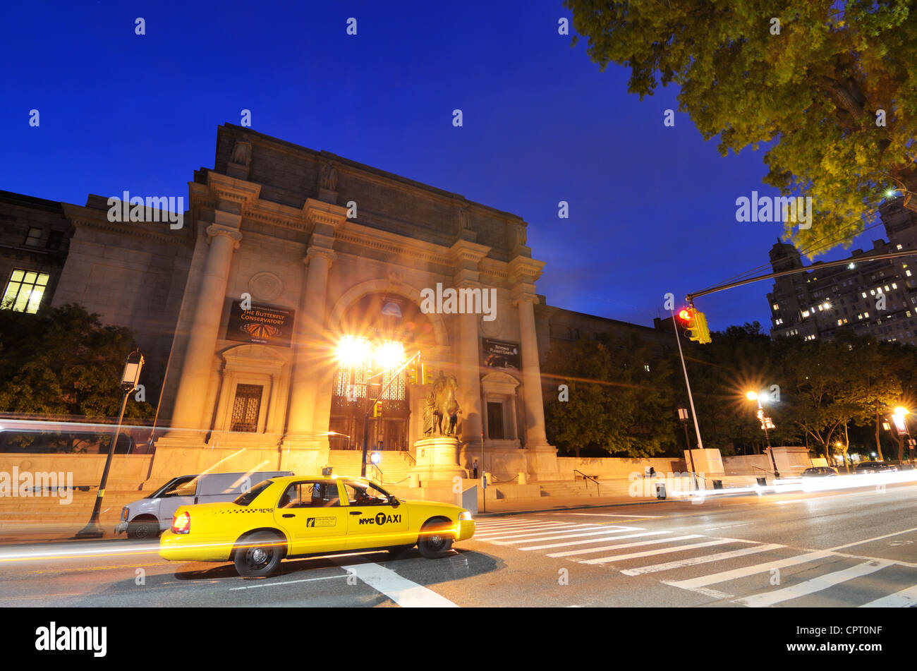American Museum of Natural History in New York City. Stockfoto