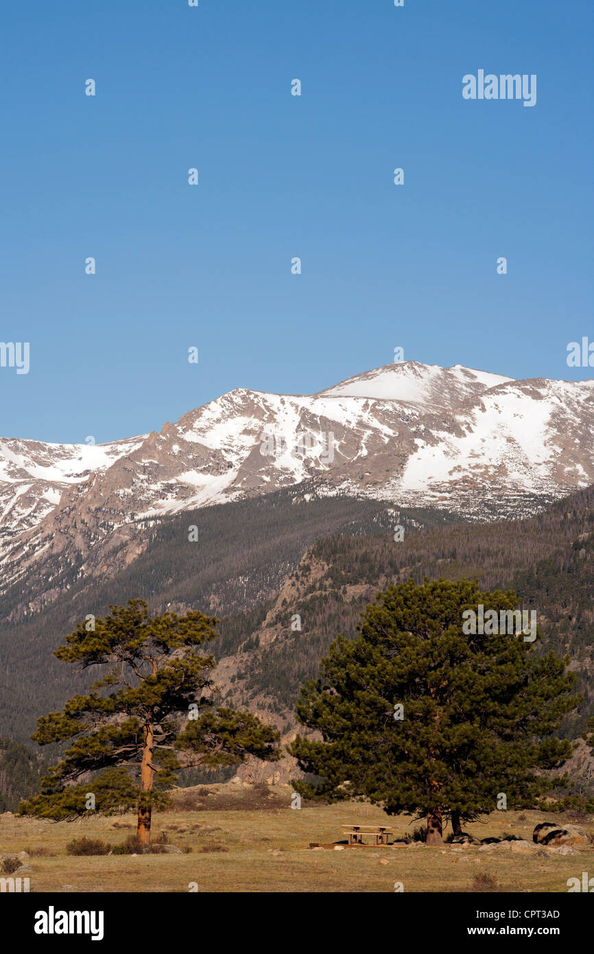 Picknickplatz in Rocky Mountain Nationalpark - Estes Park, Colorado, USA Stockfoto