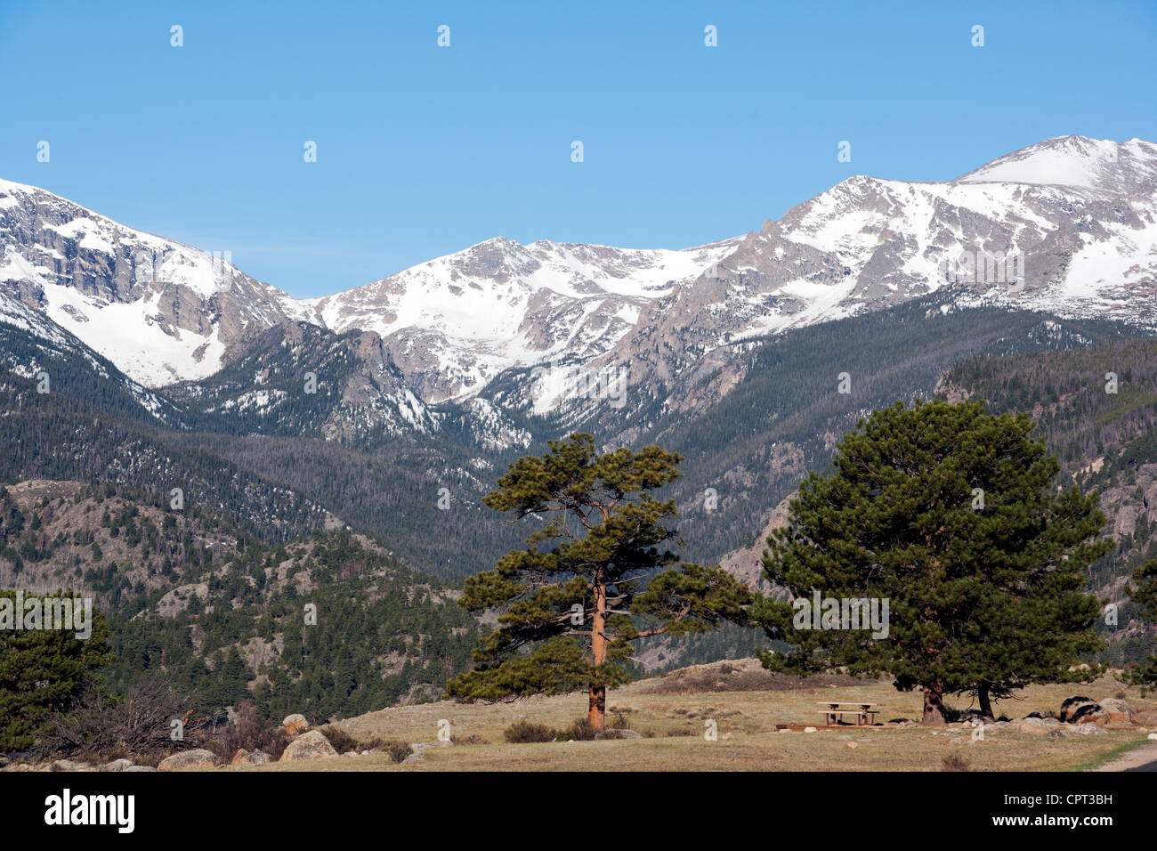 Picknickplatz in Rocky Mountain Nationalpark - Estes Park, Colorado, USA Stockfoto