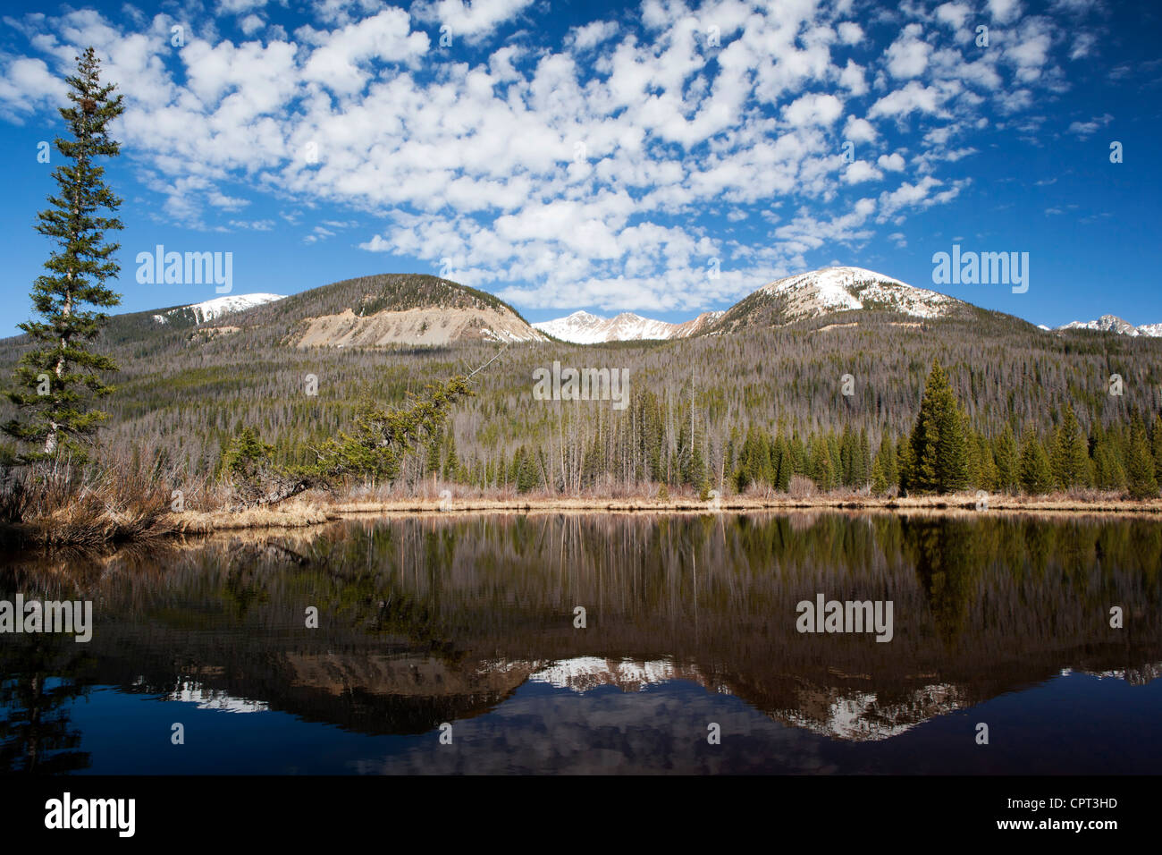 Beaver Seen - Rocky Mountain Nationalpark - Grand Lake, Colorado USA Stockfoto