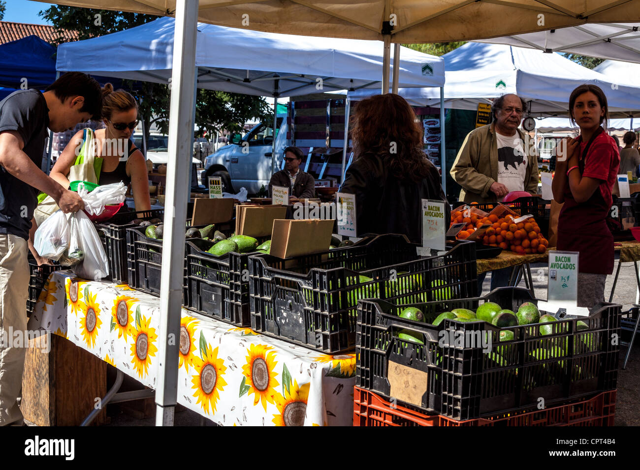Szenen aus dem Sunday Ojai California USA Farmers Market, auf dem alle Produkte und Waren biologisch angebaut werden Stockfoto