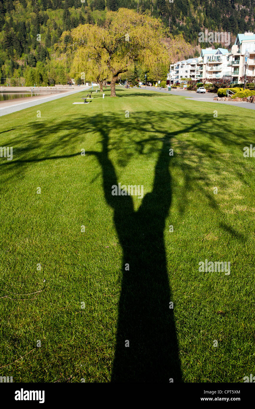 Schatten im Park - Harrison Hot Springs, Britisch-Kolumbien, Kanada Stockfoto