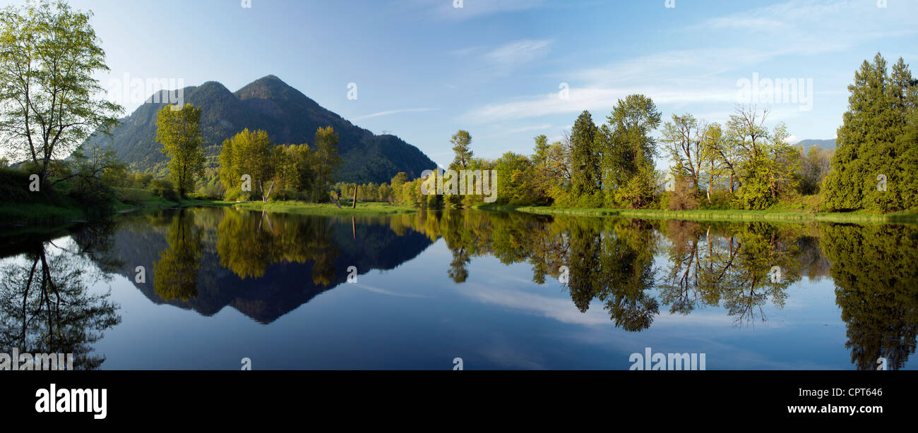 Seabird Insel Landschaft zusammengesetzte Panoramabild - in der Nähe von Agassiz, British Columbia, Kanada Stockfoto