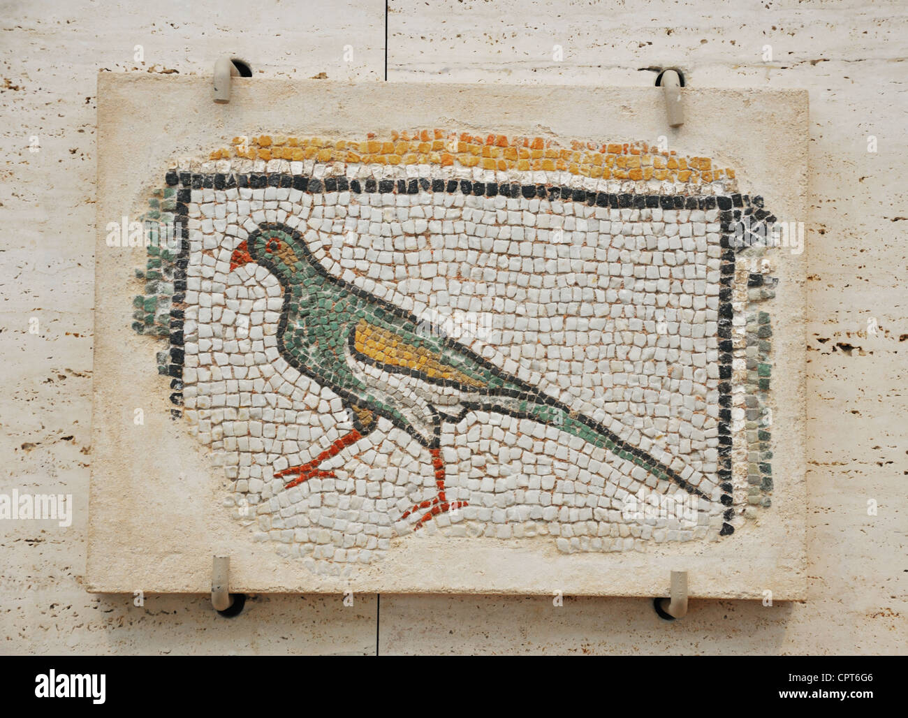 Papagei - Mosaik Gemälde aus römischen Syrien AD400 - Kimbell Art Museum, Fort Worth, Texas, USA Stockfoto