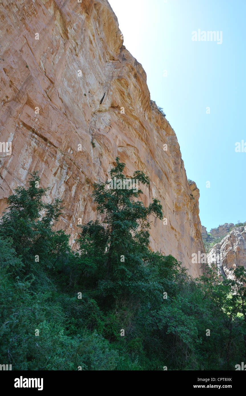 Bright Angel Trail, Grand Canyon, Arizona, USA Stockfoto