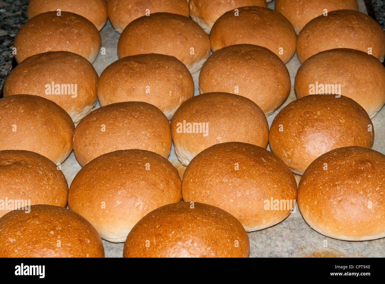 Brot (Panini), italienische Küche, Italien Stockfoto