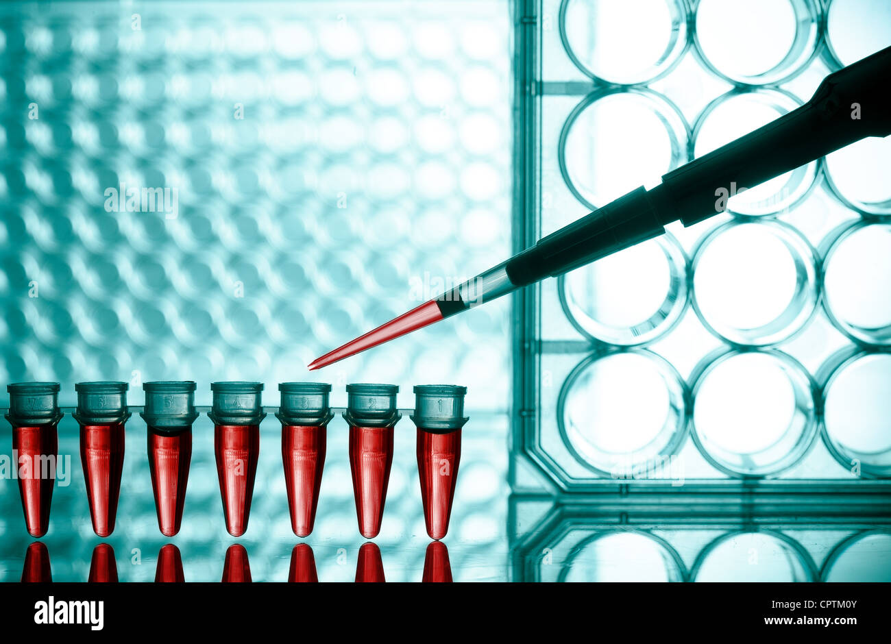 Mikroröhrchen und Micropipet Labortest Stockfoto