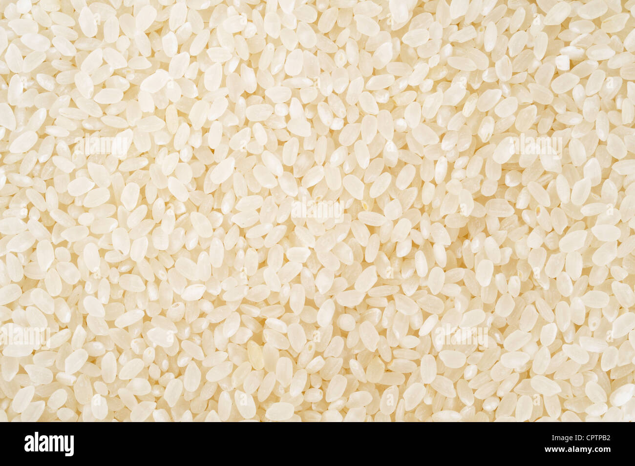 japanischer Reis Stockfoto