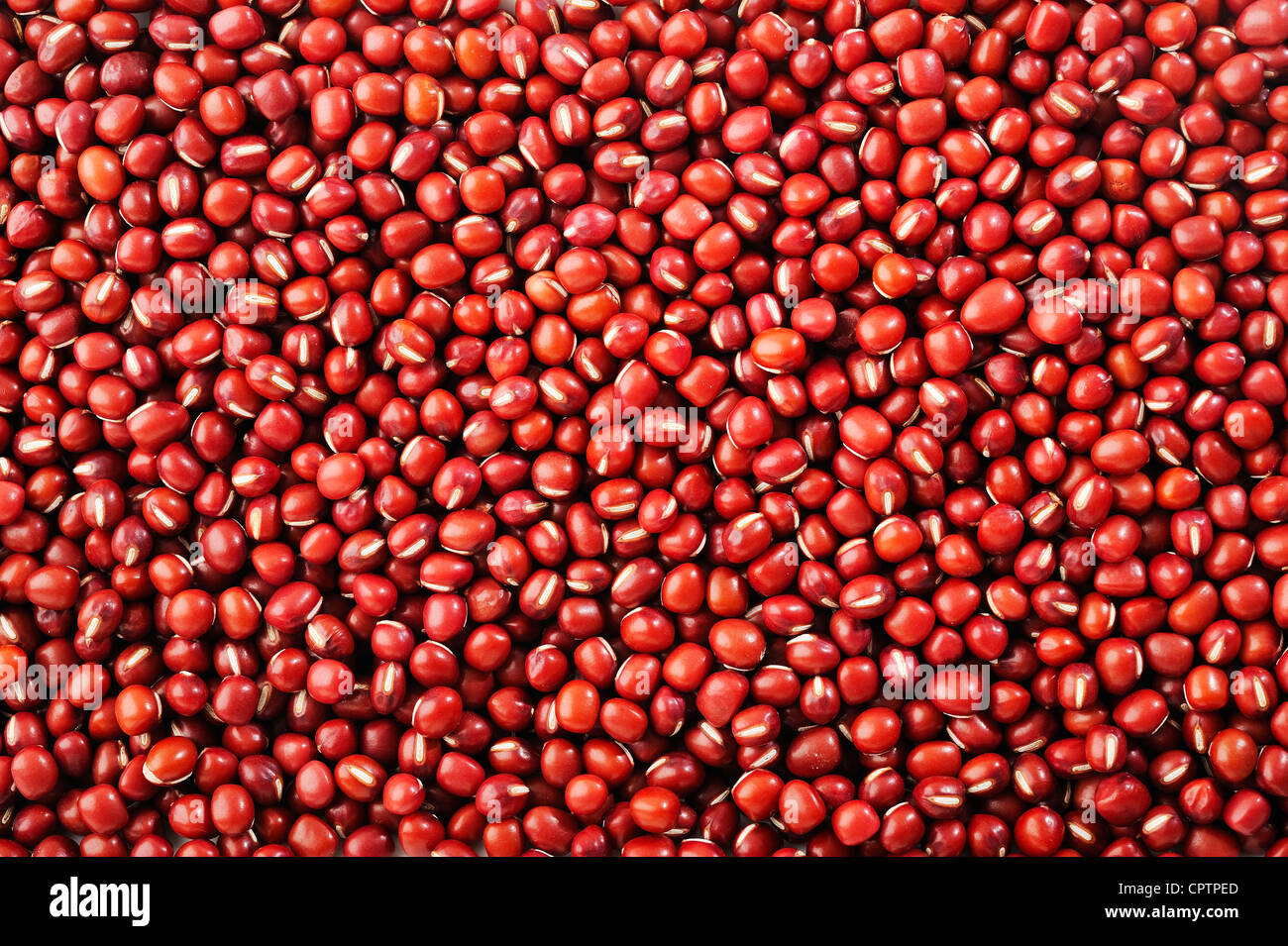 roten Azuki Bohnen Muster Hintergrund Stockfoto