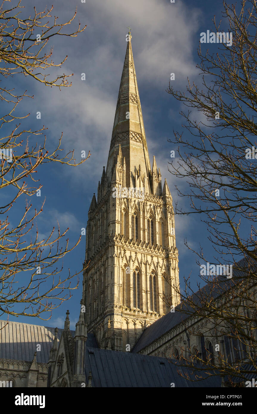 Kathedrale von Salisbury in klare Wintersonne, die hoch elegante mittelalterlichen Turmspitze zeigt zum Himmel gebadet. Wiltshire, England, Vereinigtes Königreich. Stockfoto