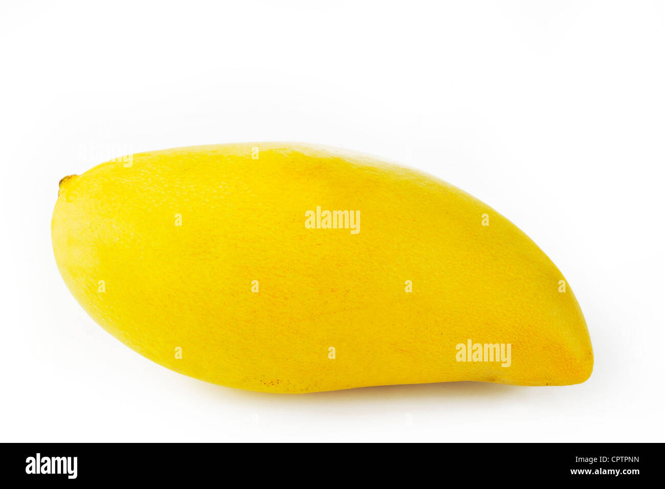 Reife Mango auf weißem Hintergrund Stockfoto