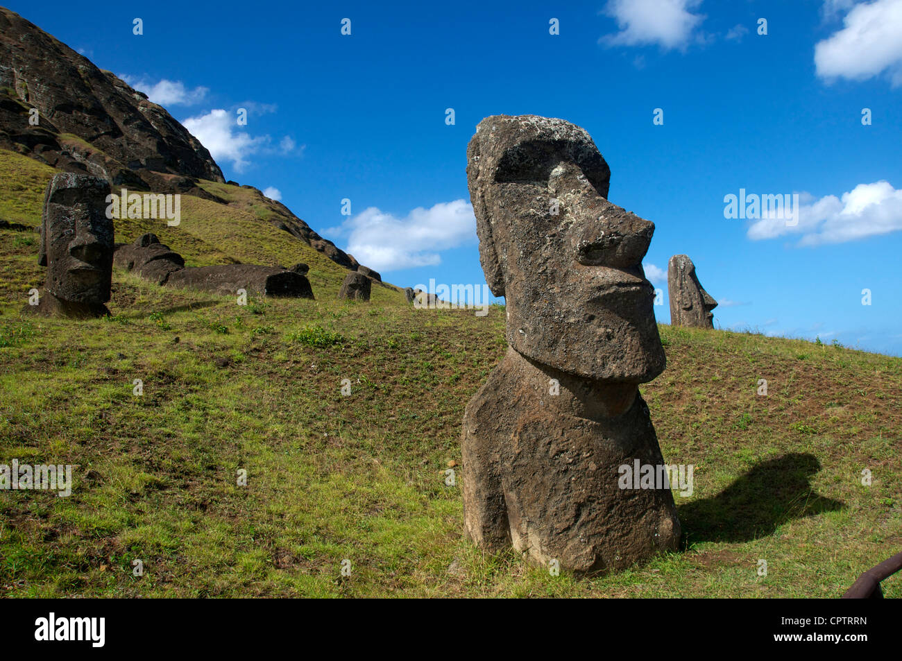 Moai Rano Raraku Steinbruch Osterinsel Chile Stockfoto