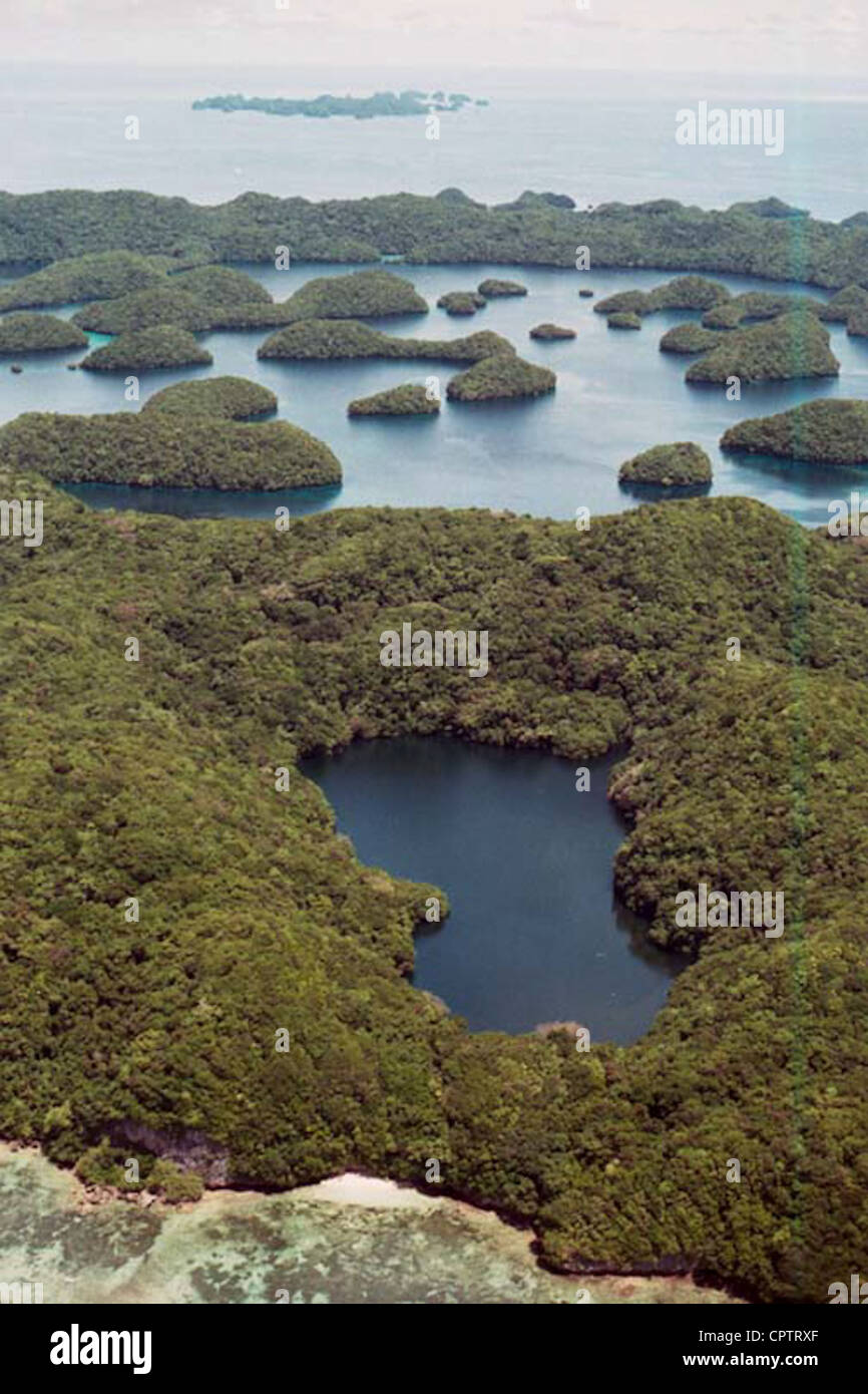 Luftaufnahme der Jellyfish Lake auf der Insel Eil Malk in Palau. Stockfoto