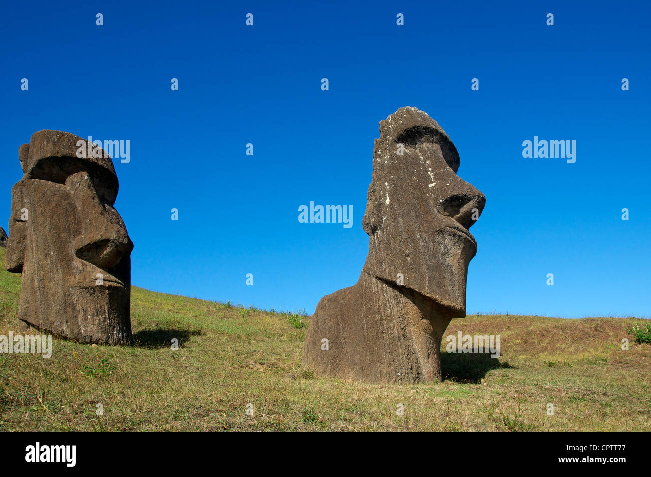 Zwei Moai Rano Raraku Osterinsel Chile Stockfoto