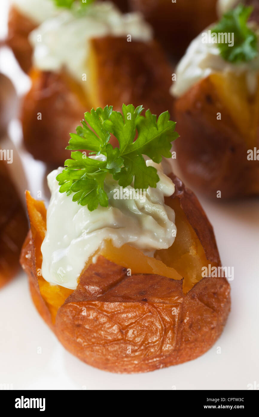 Mini-Pellkartoffeln mit Blauschimmel-Käse und Joghurt-Dressing und Petersilie, serviert auf einer Platte anrichten. Stockfoto