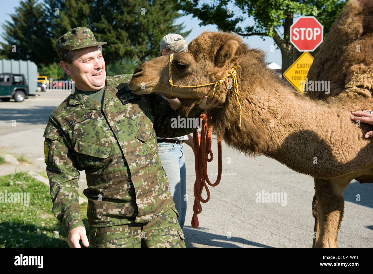 Der slowakische Verteidigungschef, LT. Gen. Peter Vojtek, trifft auf das Kamel Sahara während seiner Tour durch das Muscatatuck Urban Training Center in Zentral-Indiana, Donnerstag, 24. Mai 2012. Indiana ist seit 1994 mit der Slowakischen Republik im Rahmen des Staatspartnerschaftsprogramms verbunden. Die beiden Militärs tauschen weiterhin Truppen, Techniken und Ausbildungsverfahren aus. Indiana-Wachmänner und slowakische Truppen dienen derzeit Schulter an Schulter in Afghanistan mit dem Operation Mentor und Liaison Team. Stockfoto