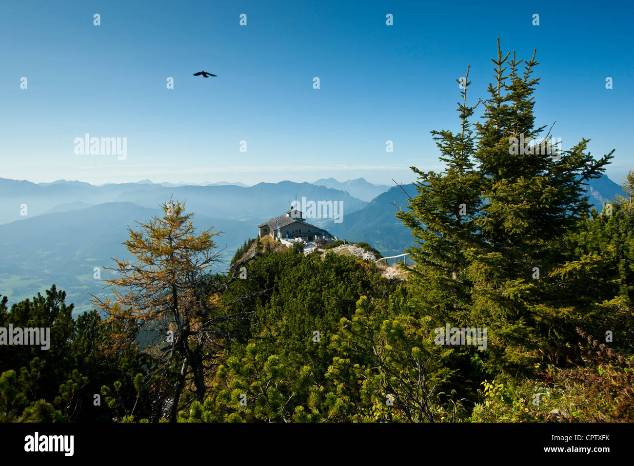 Krähe fliegt über Kehlsteinhaus, Kehlsteinhaus, Hitlers Versteck in Berchtesgaden in den bayrischen Alpen, Deutschland Stockfoto