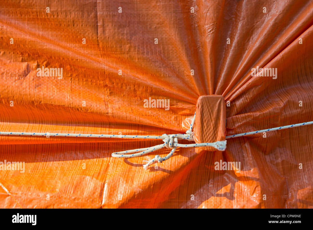 Knoten, sichern eine orange Deckblatt Stockfoto