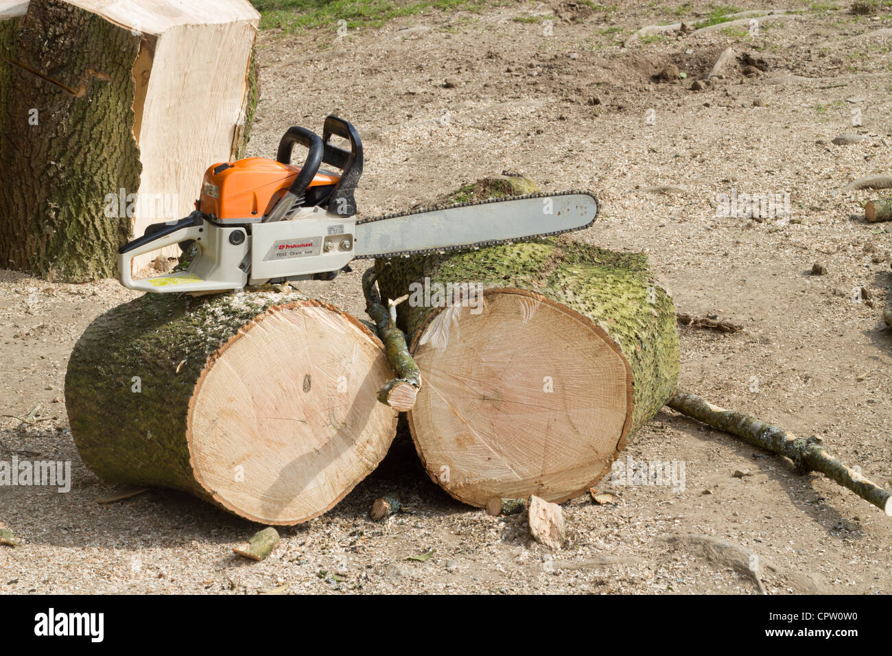 Kettensäge ruht auf große Scheite aus einem frisch geschnittenen Baumstamm. Stockfoto