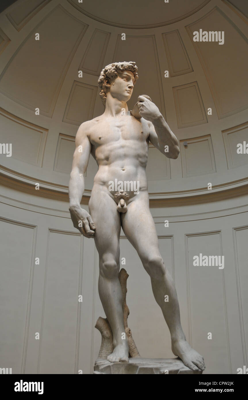 David von Michelangelo, Galerie der Accademia in Florenz Stockfoto David von Michelangelo, Galerie der Accademia in Florenz Stockfoto