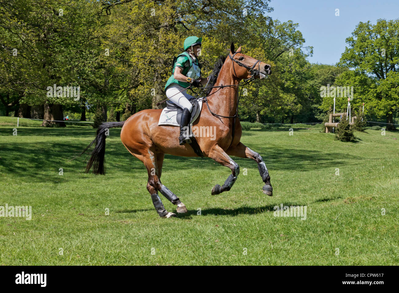 Mary King Reiten Cavalier Wagen auf der Langlauf-Kurs in der Houghton International Horse Trials 2012 Stockfoto