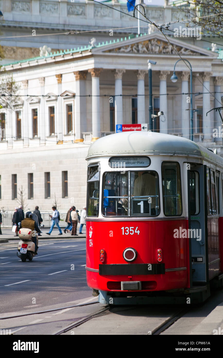 Rote Straßenbahn in Wien, Österreich Stockfoto