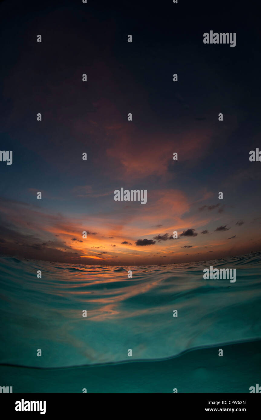 Sunet unter Wasser aus geschossen, Lankayan, Sabah, Malaysia Stockfoto