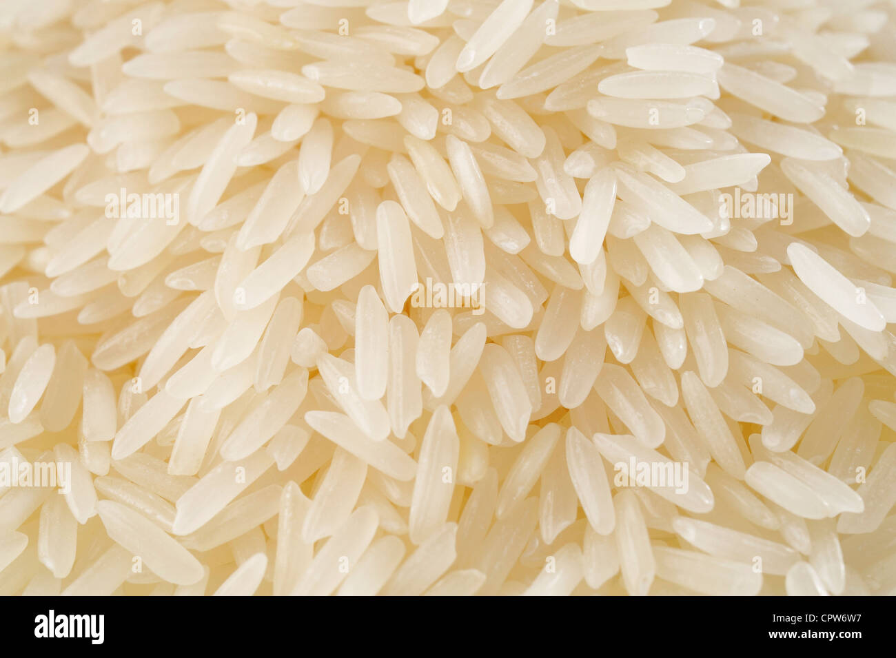 Reis Hintergrund Stockfoto