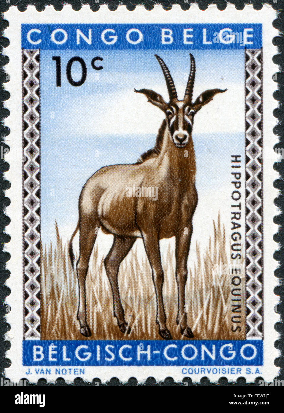 Belgisch-Kongo - ca. 1959: Briefmarken gedruckt in Belgisch-Kongo zeigt Pferdeantilopen, ca. 1959 Stockfoto