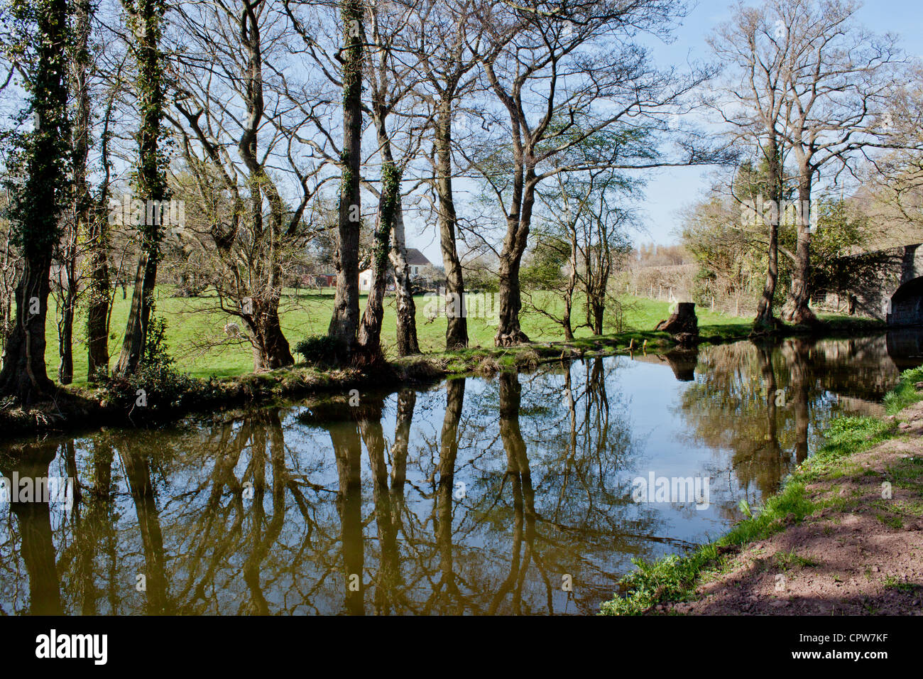 Baum-Reflexionen im Kanal in der Nähe von Brücke Stockfoto