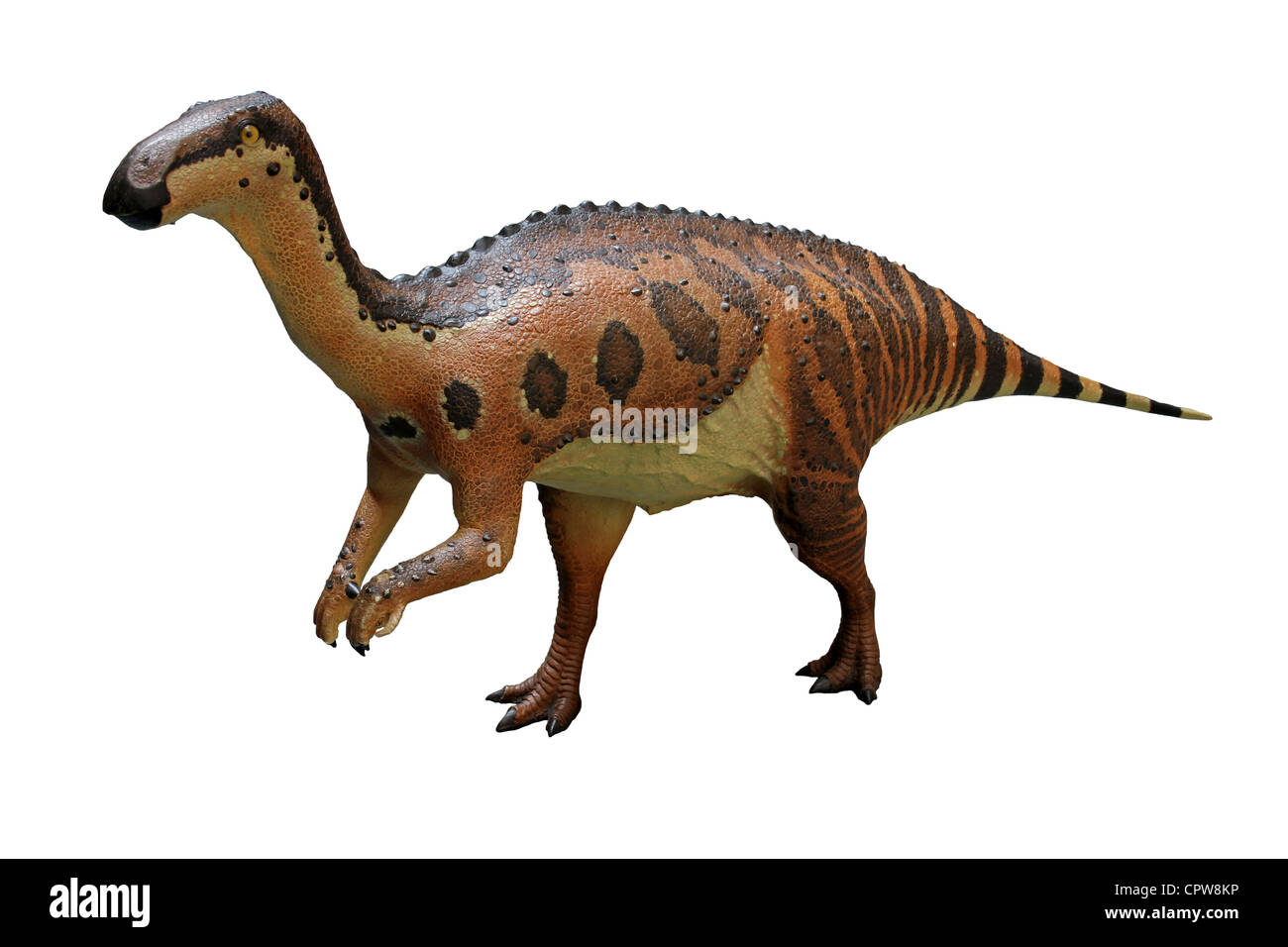 Iguanodon-Modell Stockfoto