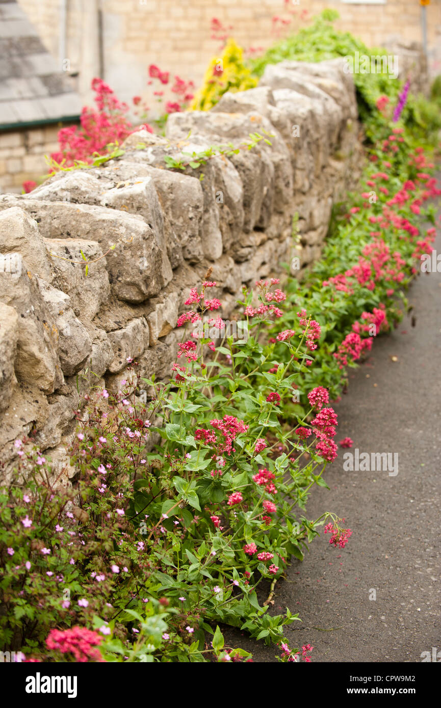 Steinmauer Blumen Stockfotos & Steinmauer Blumen Bilder Alamy