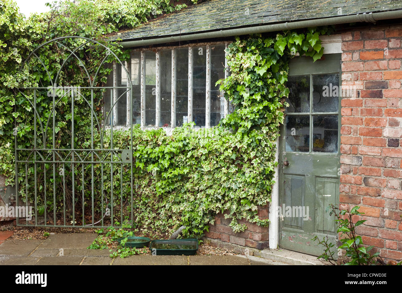 Alte Garten Potting Shed mit Efeu, Worcestershire, England, UK Stockfoto