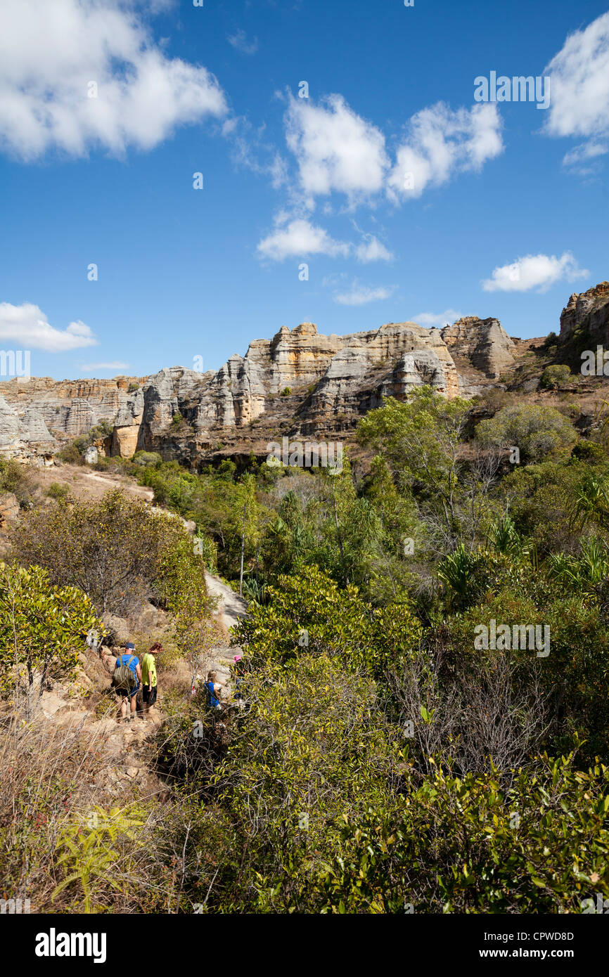 Palmen gesäumte Oase und Sandstein Klippen, Isalo Nationalpark, Ihorombe Region von Madagaskar. Stockfoto