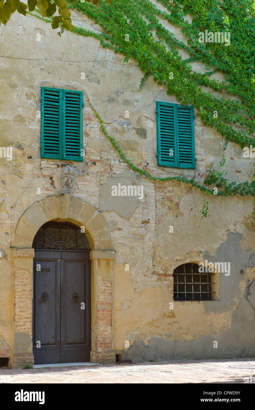 Traditionelles Haus mit grünen Fensterläden und wildem Wein, in der Stadt Monticcheillo, Val D'Orcia Gegend der Toskana, Italien Stockfoto