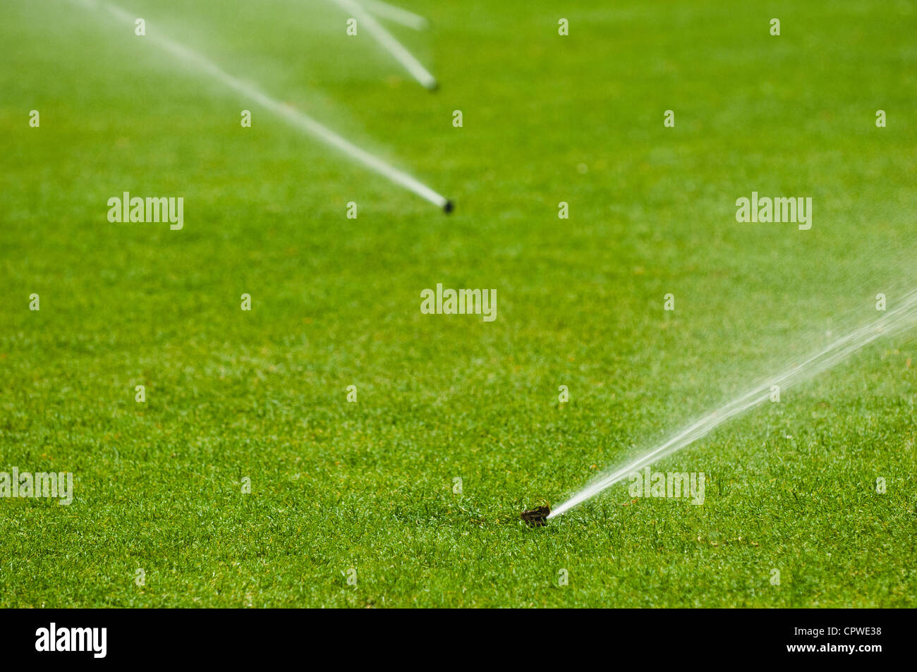 Rasensprenger Stockfoto