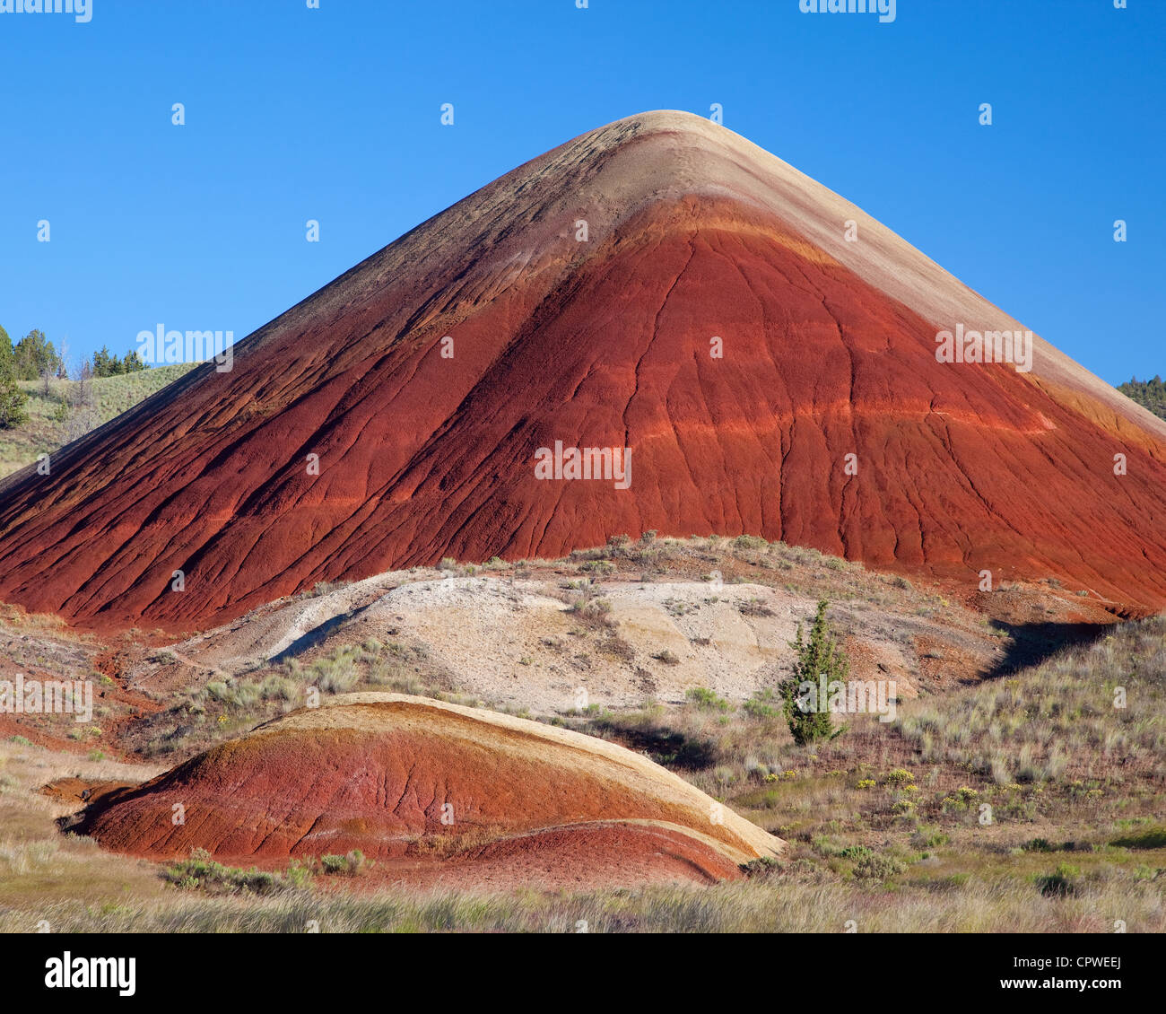 John Day Fossil Beds National Monument, oder Red Hill in der Painted Hills-Einheit Stockfoto