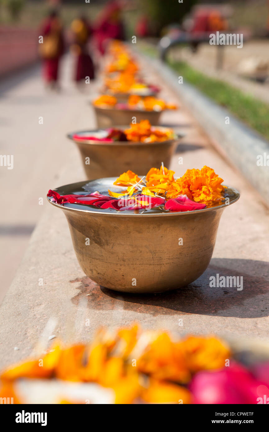 Blume und Weihwasser auf Messinggeschirr, Mahabodhi Tempel, Bodh Gaya, Bihar, Indien Stockfoto